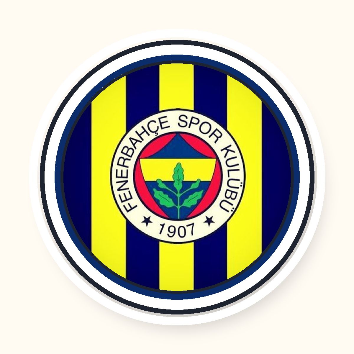Fenerbahce temali parti tabagi